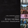 afterthewar