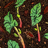 aijung-kim-sprouting-sequoia-beans-print