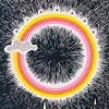 animalsleep-circle-rainbow-silkscreen