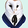 berkeley-barn-owl