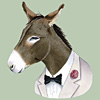berkeley-donkey