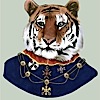 berkeley-tiger