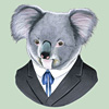 berkley-koala