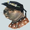 berkley-lady-beaver
