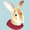 berkley-lady-rabbit