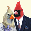 Cardinal Couple