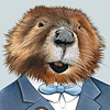 berkley-mr-beaver