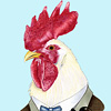 berkley-rooster