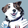 berkley-strelka-space-dog