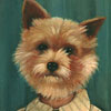 blackapple-dog-face-boy-print
