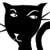 Black Cat Orchestra