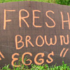 book-of-unnecessary-quotation-marks