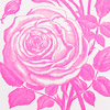 bookremarks_rose