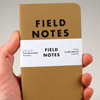 fieldnotes