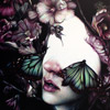 hifructose20