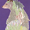 jill-201-bear-card-purple