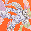 jill-202-starfish-orange-card