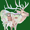 jill-205-wapiti-elk-poster-green