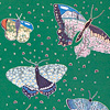 jill-218-butterfly-spring-meadow-card