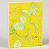 jill-2226-oregon-alder-wood-panel