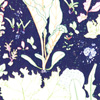 jill-228-kale-chard-lettuce
