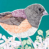 jill-231-junco-card