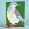 jill-2215-scrub-jay-wood-panel