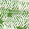 jill-234-ferns-card