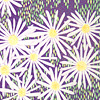jill-237-douglas-aster-card