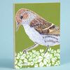 jill-2241-pine-siskin-wood-panel