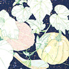 jill-238-melon-pumkin-squash-card