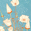 jill-246-classic-california-poppies-card