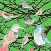 jill-247-bird-poster