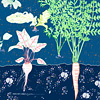 jill-258-onion-beet-carrot-poster