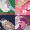 jill-270-birds-notecard-set