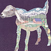 jill-272-nubian-goat-farmstead-card