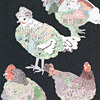 jill-273-chicken-coop-group-card