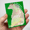 jill-bliss-180-black-bear-forest-sticker