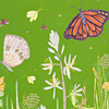 Butterfly Fields
