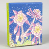 jill-bliss-succulents-box-set