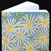 jill-douglas-aster-mini-note