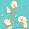 jill-197-native-poppies-poster