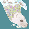 jill-sealion-print
