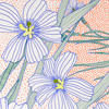 jillb_blueyedgrass_poster