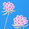 jillb_notecardbook
