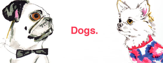 Dogs!