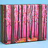 lisa-congdon-forests-box