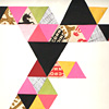 lisa-congdon-triangle-homage