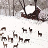 lo121-becca-stadtlander-winter-card