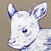 mcsweeneys-it-is-right-to-draw-their-fur